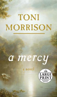 A Mercy [Large Print] 0739326309 Book Cover