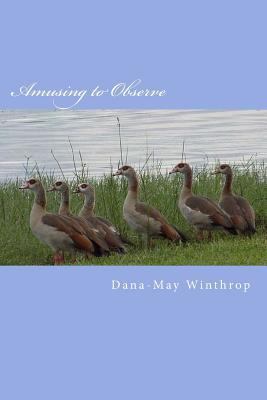 Amusing to Observe 1539059227 Book Cover