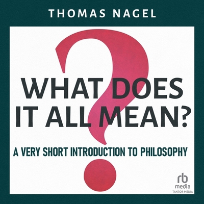 What Does It All Mean?: A Very Short Introducti... B0CPT2GXDK Book Cover