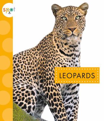 Leopards 1681519305 Book Cover
