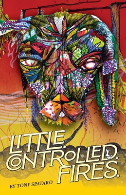 Little.Controlled.Fires. B0FKTV1Z5K Book Cover