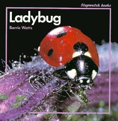 Ladybug (Stop-Watch) 0382094379 Book Cover