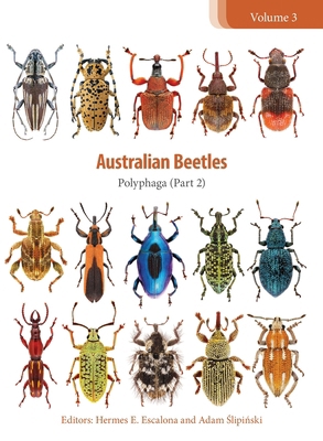 Australian Beetles Volume 3: Polyphaga (Part 2) 1486314538 Book Cover