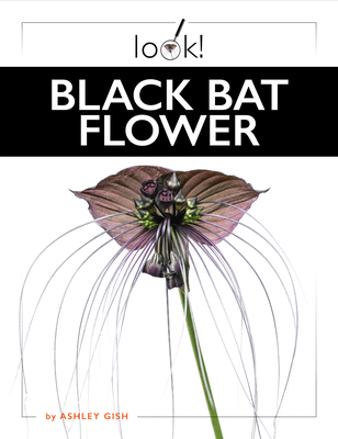Black Bat Flower B0F549DVWX Book Cover