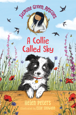 Jasmine Green Rescues: A Collie Called Sky 1536210269 Book Cover