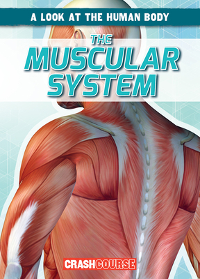 The Muscular System 1538266199 Book Cover