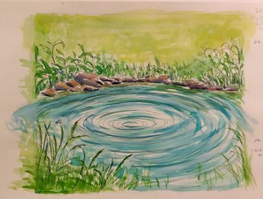 Library Binding How to Create Peace : Teaching Children How to Navigate Their Personal Choices and Build Their Character and Social Morality Book