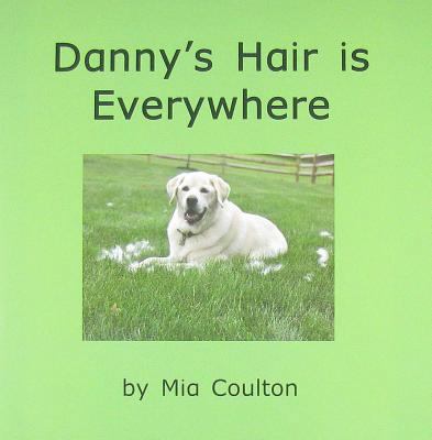 Danny's Hair Is Everywhere 1933624353 Book Cover