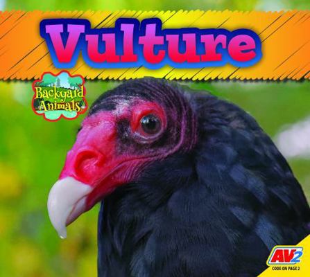 Vulture B0DGMMQXLQ Book Cover