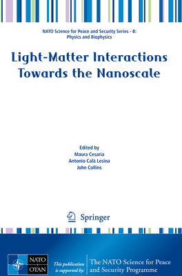 Light-Matter Interactions Towards the Nanoscale 9402421408 Book Cover