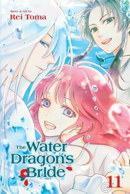 The Water Dragon's Bride, Vol. 11 1974709582 Book Cover