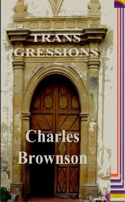 Paperback Transgressions Book