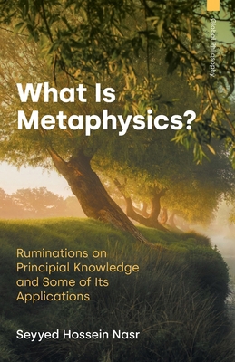 What Is Metaphysics?: Ruminations on Principial... 1800506481 Book Cover