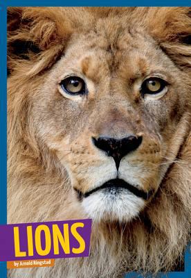 Lions 160753603X Book Cover
