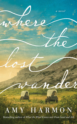 Where the Lost Wander 1799738493 Book Cover