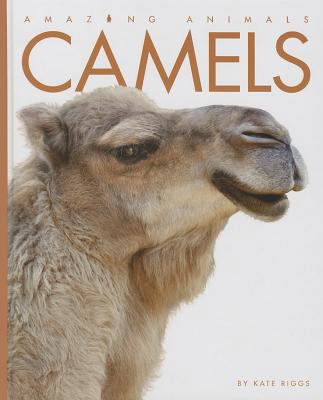 Camels 1608183467 Book Cover