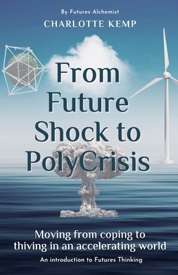 From Future Shock to PolyCrisis B0DY2Z2VLR Book Cover