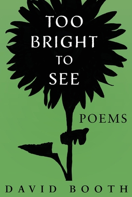 Too Bright to See 1734114266 Book Cover
