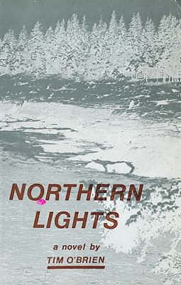 Northern Lights 0714525332 Book Cover