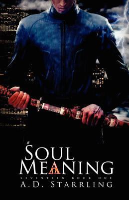 Soul Meaning 0957282605 Book Cover