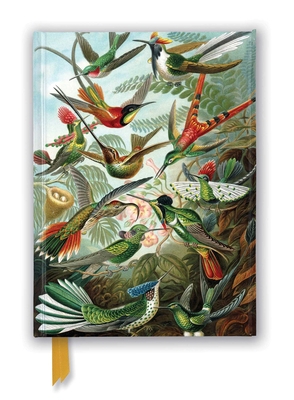 Ernst Haeckel: Hummingbirds (Foiled Journal) 1839648953 Book Cover