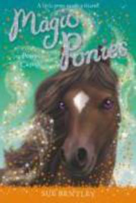 Hardcover Pony Camp Book