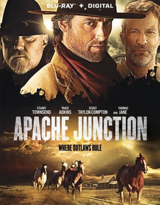 Apache Junction            Book Cover