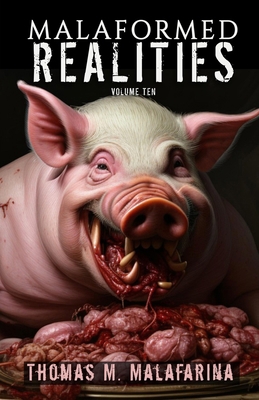 Malaformed Realities Volume 10 B0FDBLGQ88 Book Cover