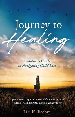 Journey to HEALING: A Mother's Guide to Navigat... 1640855041 Book Cover