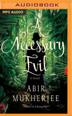 A Necessary Evil 172137308X Book Cover