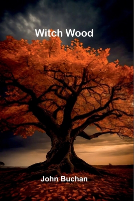 Witch Wood 9374121913 Book Cover
