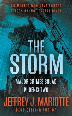 The Storm: A Police Procedural Series 1685491685 Book Cover