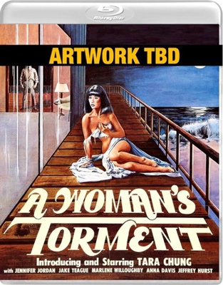 A Woman's Torment B075413Q1M Book Cover