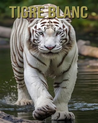 Tigre Blanc: Découvrez des Informations et des ... [French] B0DLVTQ3QC Book Cover