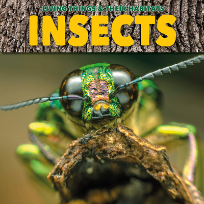 Insects 1786376393 Book Cover
