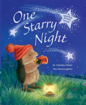 One Starry Night: A Sparkly Starry Book 1561487686 Book Cover