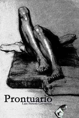 Prontuario: Baladas [Spanish] 1790413664 Book Cover