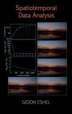 Spatiotemporal Data Analysis 069112891X Book Cover