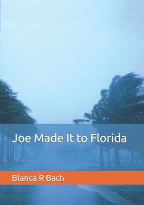 Joe Made It to Florida B09FNJXG54 Book Cover