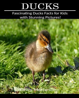Ducks: Fascinating Ducks Facts for Kids with Stunning Pictures!