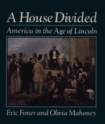 A House Divided: America in the Age of Lincoln 0393306127 Book Cover