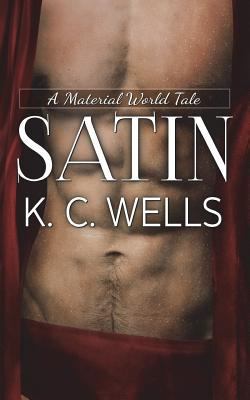 Satin (Deutsche Ausgabe) [German] 1723053155 Book Cover