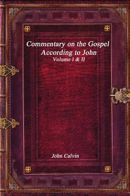 Commentary on the Gospel According to John 1980611831 Book Cover