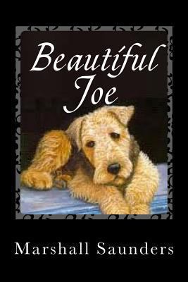 Beautiful Joe 1494873745 Book Cover