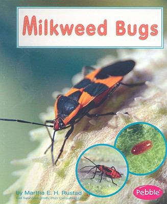 Milkweed Bugs (Watch It Grow) 1429634448 Book Cover