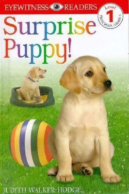 DK Readers: Surprise Puppy (Level 1: Beginning ... 0789437651 Book Cover