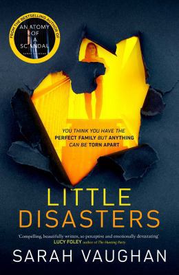 LITTLE DISASTERS 1471165043 Book Cover