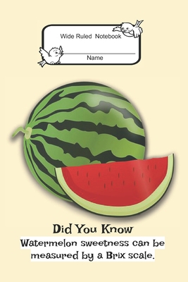Composition Book: Wide Rule- Watermelon B0842P2S5V Book Cover