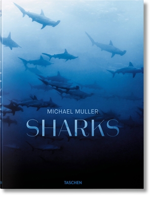 Michael Muller. Requins [French] 383655965X Book Cover