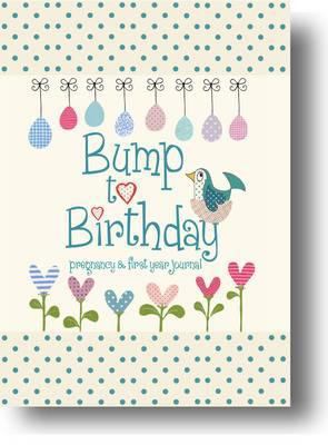 Bump to Birthday, Pregnancy & First Year Journal 1907048413 Book Cover